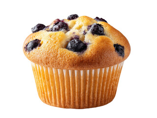 Delicious Blueberry Muffin Isolated on Black