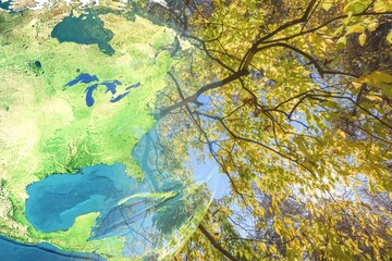 Green forest grass with earth globe