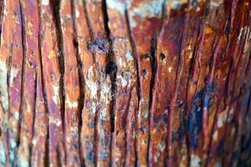 Vertical brown wood grain texture with natural lines and subtle variations