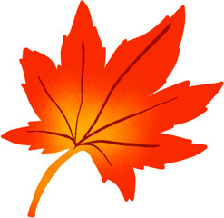 Obraz premium red maple leaf