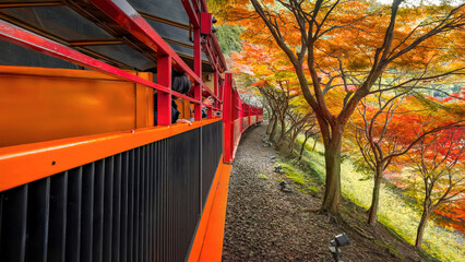 Kyoto, Japan - November 21 2024: Sagano Romantic Train with beautiful foliage in autumn in Kyoto, Japan