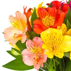 Vibrant Alstroemeria Flowers in a Colorful Bouquet.