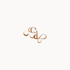 wedding initial concept caligraphic style monogram letter luxury minimalist logo design IO