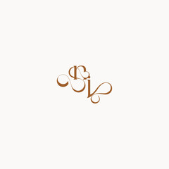 wedding initial concept caligraphic style monogram letter luxury minimalist logo design JN