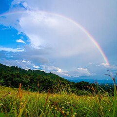 Rainbow over a grassy hillside
