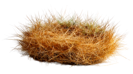 Tumbleweed ball of dry grass and twigs, cut out transparent