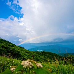 Rainbow over mountain landscape