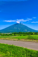 畑と羊蹄山（北海道・真狩村）