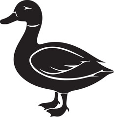 duck vector illustration