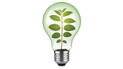 Green idea growing inside a lightbulb symbolizing eco-friendly innovation and sustainable growth