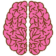 human brain vector illustration