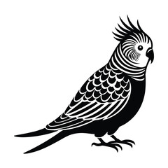 a black and white illustration of a parakeet