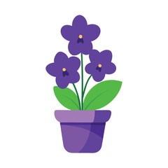 purple orchid in a pot