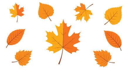 A vibrant collection of autumnal leaves showcased in a captivating arrangement with stunning botanical elements and diverse foliage, reminiscent of