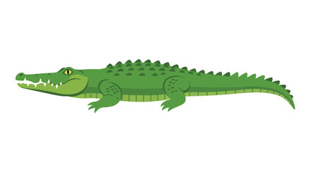 Fototapeta premium A Cartoon Crocodile Illustration Featuring a Green Alligator in Profile on a White Background