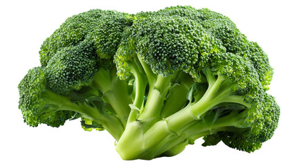 Fresh green broccoli crown with detailed florets and thick stem, cut out transparent