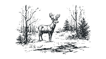 Majestic Stag in Snowy Winter Forest with Bare Trees and Pine. Vector hand drawn illustration