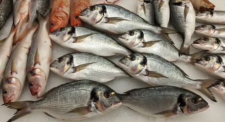 Obraz premium Fresh fish display at market