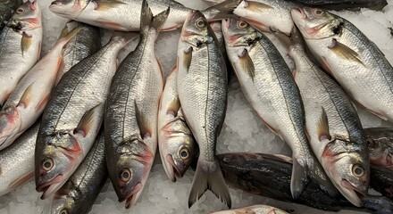 Obraz premium Fresh fish display on ice