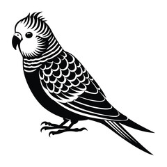 a black and white illustration of a parakeet