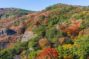 日本の風景・秋　香川県小豆島　紅葉の寒霞渓