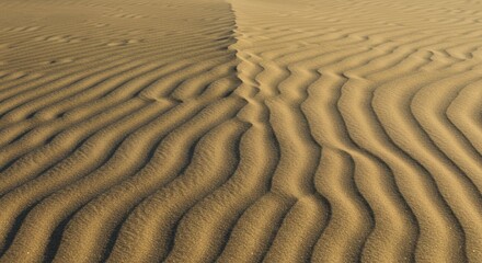 Fototapeta premium Desert Sand Dune Patterns: A Study in Natural Texture