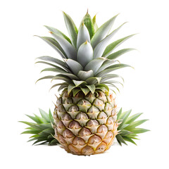 Fototapeta premium A ripe pineapple with spiky green leaves and a textured brown rind, isolated on a transparent background with two leaves