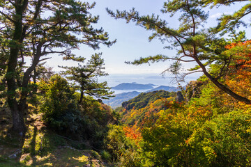 Obraz premium 日本の風景・秋 香川県小豆島 紅葉の寒霞渓