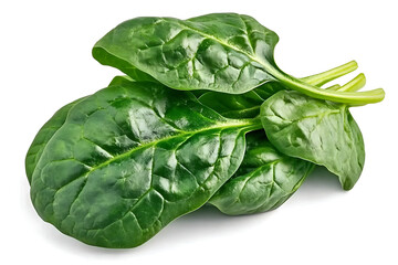 Obraz premium spinach leaves isolated on white