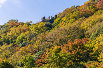 日本の風景・秋　香川県小豆島　紅葉の寒霞渓　通天窓（表十二景）