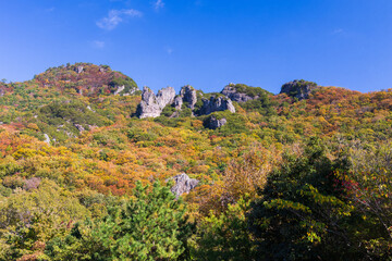 日本の風景・秋　香川県小豆島　紅葉の寒霞渓