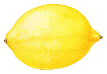 PNG A lemon fruit plant food.