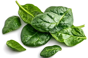 Fototapeta premium fresh spinach leaves