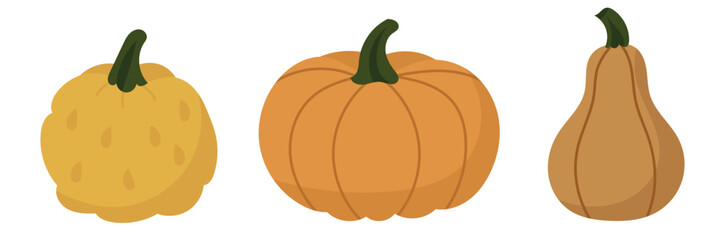 Assortment of Pumpkins Autumn Harvest