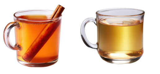 Two mugs of warm beverages, one with cinnamon