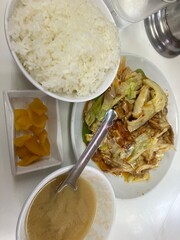 chicken curry with rice