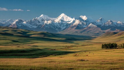 Fototapeta premium Snowy mountain range above a grassy valley