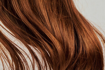 Fototapeta premium Close Up of Wavy Copper Red Hair Strands Against White Background auburn
