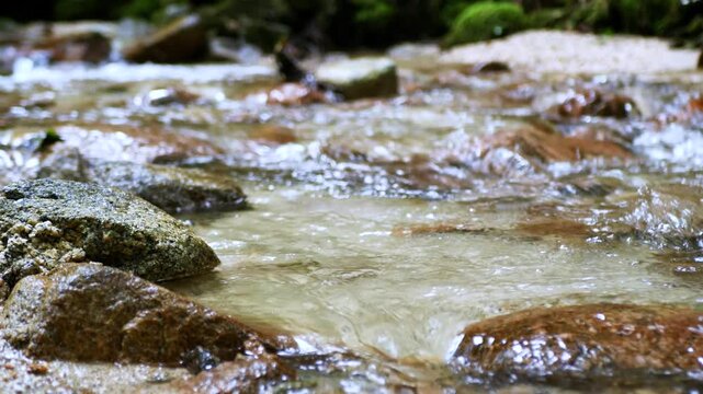清冽な水の流れをドリー撮影