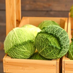 Fototapeta premium Fresh cabbages in wooden crates