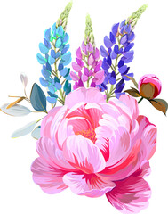 Beautiful vector bouquet of flowers. Summer peonies, colorful lupine, pink flowers.