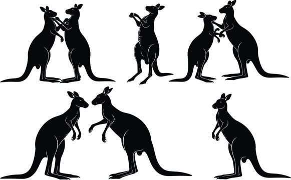Kangaroo silhouette illustrations, boxing kangaroos, animal combat poses, wildlife vector graphics, sparring kangaroo art, black kangaroo shapes, dynamic marsupial interactions, nature icons