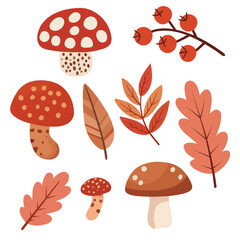 Vector set featuring a collection of autumn elements, colorful fall leaves and mushrooms. For seasonal design projects, Thanksgiving graphics, invitations, packaging, and autumn-themed decorations. 
