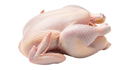 Isolated Raw Chicken