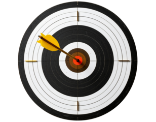 Top Down View of Archery Target with Arrow Centered, Circular Symmetry, Monochrome, Transparent Background