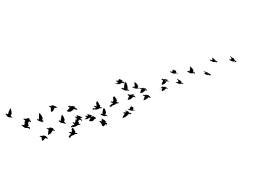 A dark image with faint, scattered, colorful speckles, creating a subtle, ethereal design