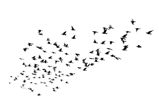 Abstract digital graphic of scattered, pixelated forms