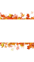 Obraz premium colorful autumn middle frame with maple leaves on transparent background, png leaf thanksgiving and Halloween copy space vertical social media overlay design element