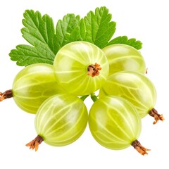 A cluster of vibrant green gooseberries, with fresh leaves, are displayed against a white background.