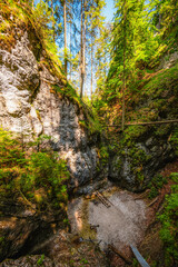Waterfall with ladder in canyon, sucha bela in Slovak Paradise or Slovensky Raj National Park in Slovakia.